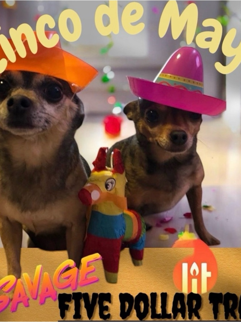 Cinco de Mayo $5 Train 🚂 Woohoo!! Let’s gooooo!